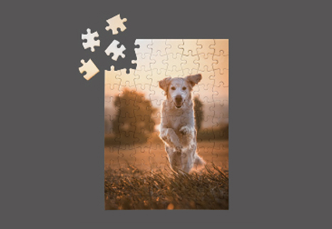 Produktfoto Fotopuzzles